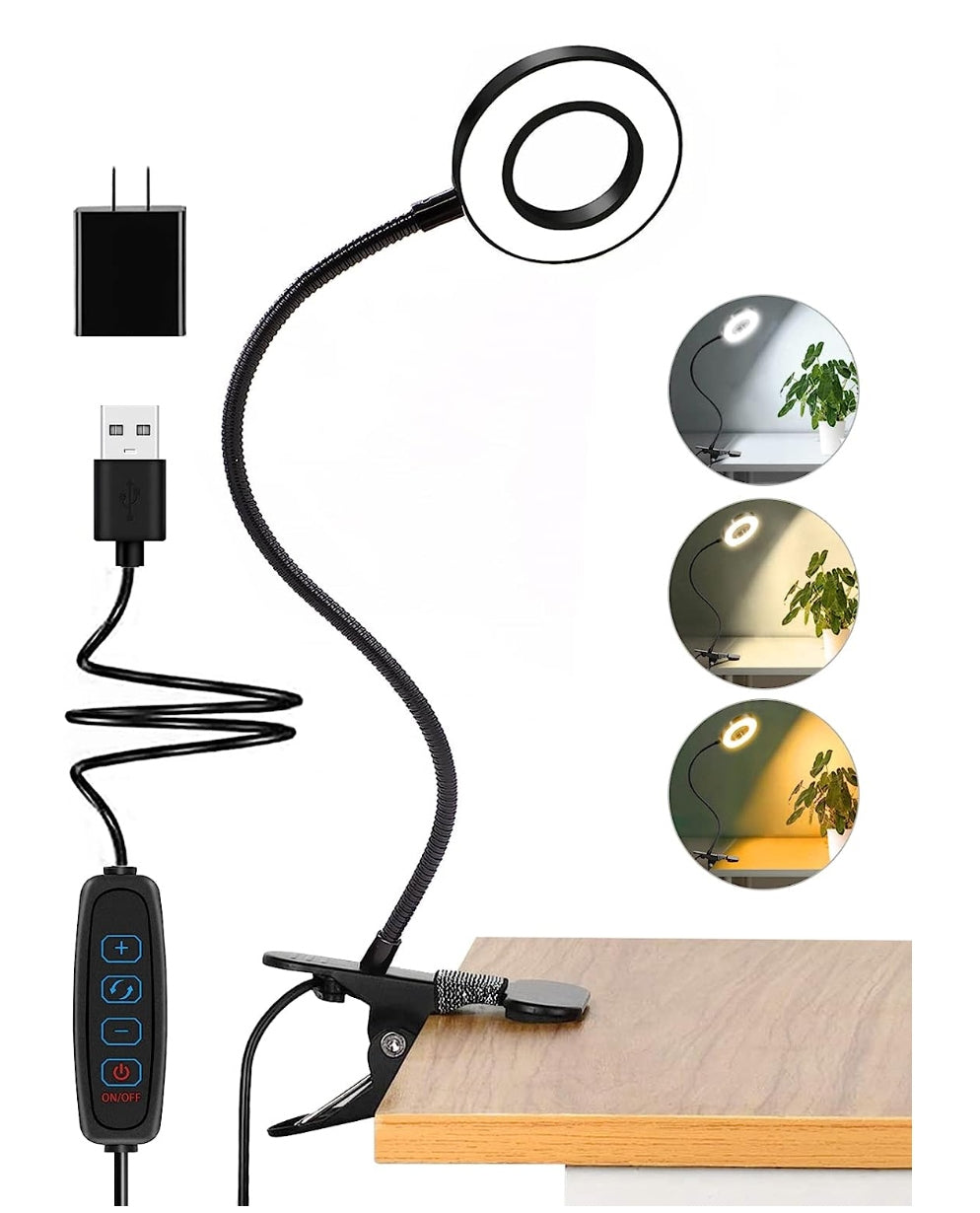 Desktop Lamp w/ Clamp & 10 Brightness Levels